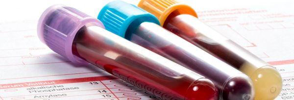 Bella Mobile Phlebotomy Services