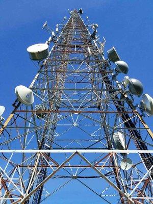 Conifer Communications