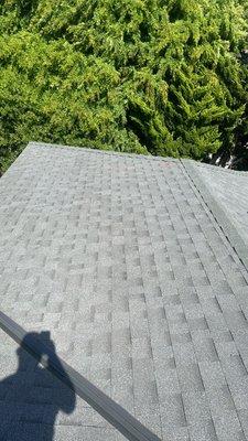 New roof