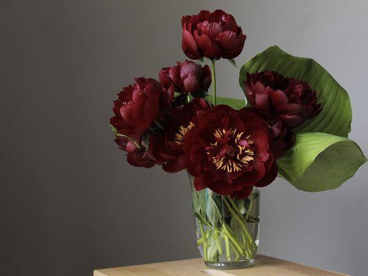 Buffalo Horticulture