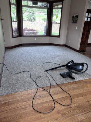 Show Dog Carpet Service