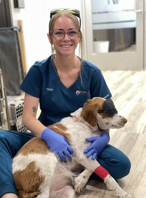 East Valley Urgent Pet Care