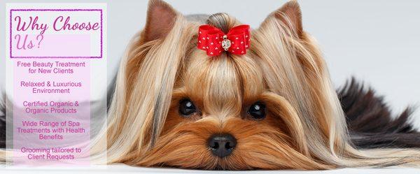 Naturally Canine Grooming