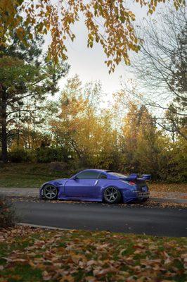 I repainted the trunk, wing, roof, fenders, bumper, hood