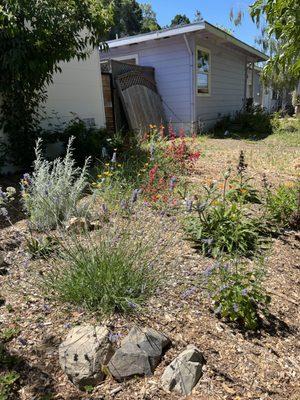 Keystone Permaculture