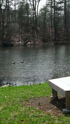 Kathryn Gorman Ponds Park