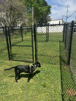 Carnesville Paws & Play Park