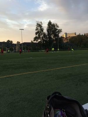 Fichtner Mainwaring Park