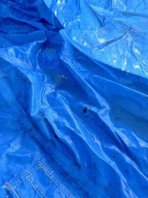 Jacksonville Bounce House