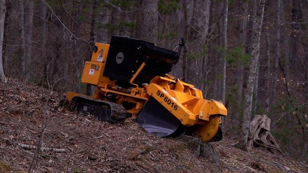 Woodland Professional Solutions