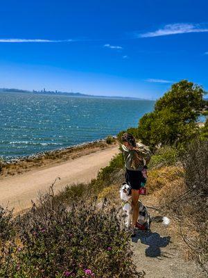 Tails Of The Wild Dog Training