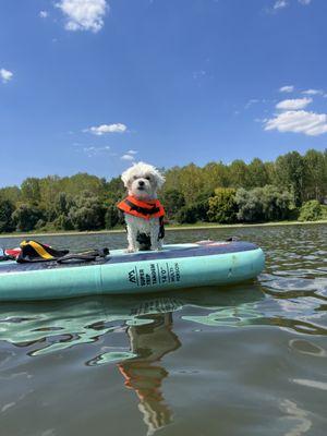 Animal Health Care Associates