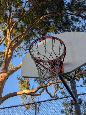 Did someone try to shoot a basket using a twig? lol