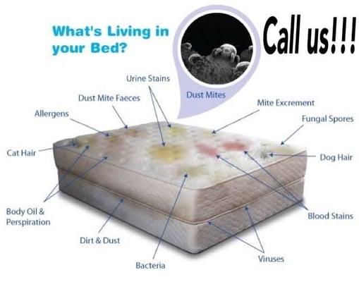 Woodson's Carpet Cleaning & Restoration