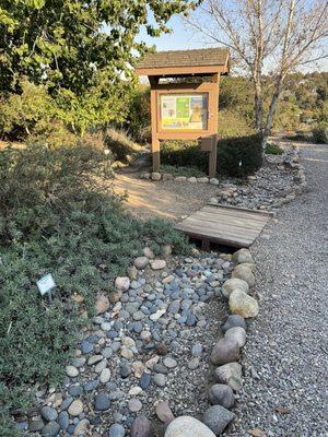 Point Loma Native Plant Garden