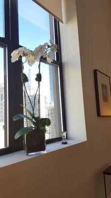 Colette Dowling LCSW