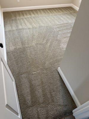 Crazy Clean Carpets
