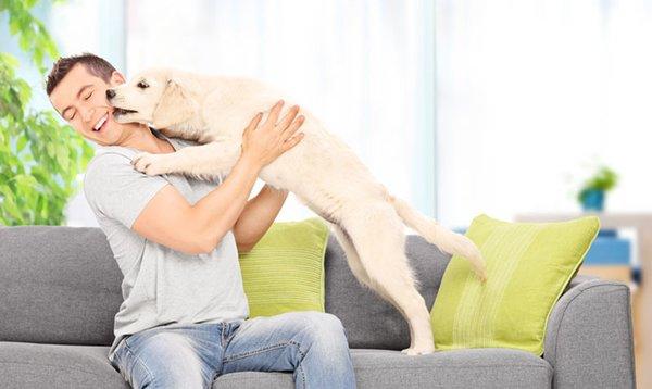 Upholstery Cleaning is one of Central Chem-Dry's specialties!