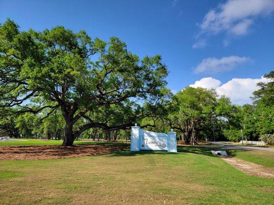 Scenes from The Launch at CR 6