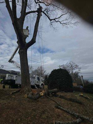 Rocky Top Tree Service & Landscaping