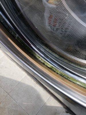 Round Palace Coin Laundry & Dry Cleaners