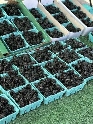 Ortiz Jr Berry Farms