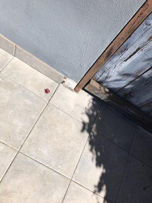 Damaged my tile while bringing materials into my house