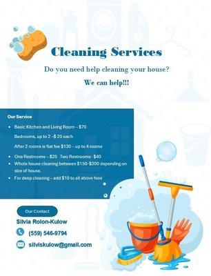 Cleaning with Silvia