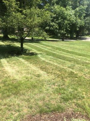 Alpha Company Logistics