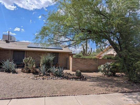 Say Less Cleaning and Landscape