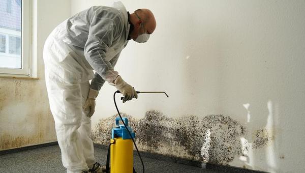 Mold Remediation