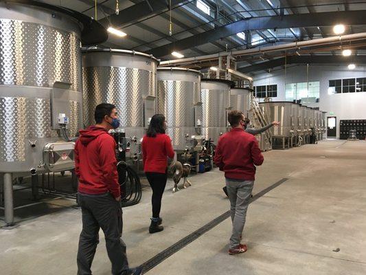 Learning about the wine making process