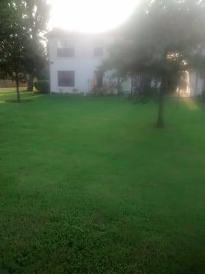 Rutherford Woodland Apartments