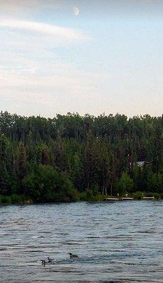 Kenai River from the dock