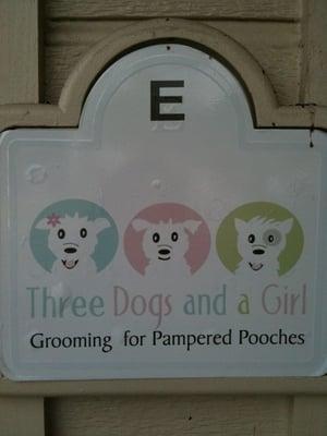 Three Dogs and a Girl