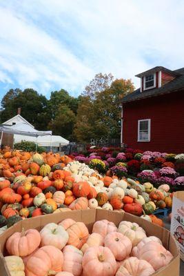 Boston Hill Farm photo