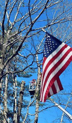 Turcotte Tree Service in action Londonderry, NH