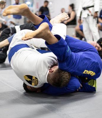 The Way Martial Arts