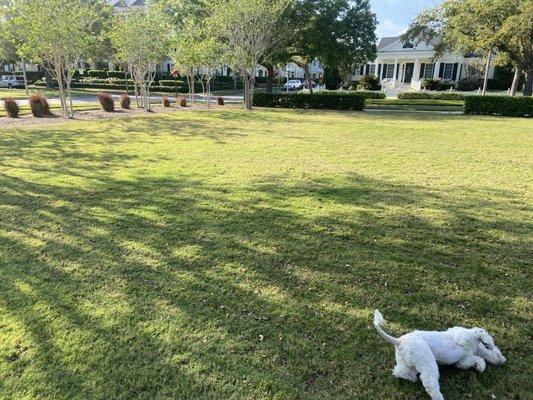 North Village Pavillion And Pool