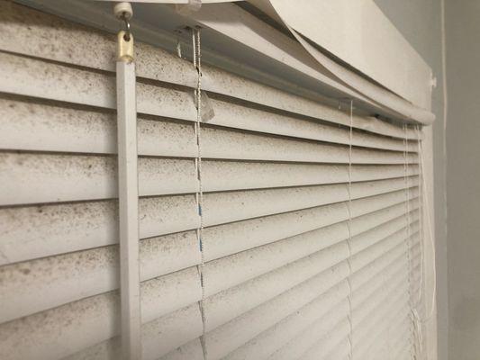 American Property Managers