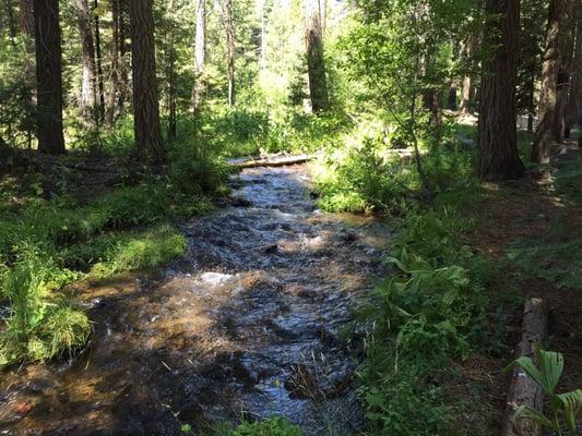 Last Chance Creek Campground