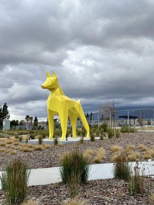 Central Park Dog Park