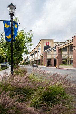 Los Altos Village Association