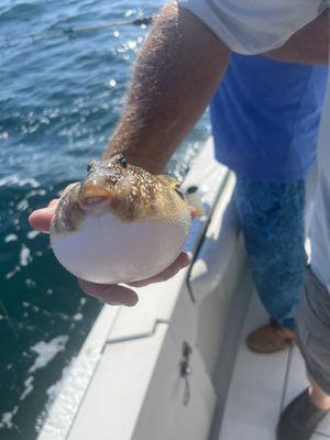 Captain Morgan Charters