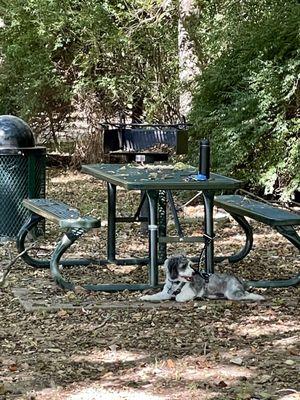 James McKnight Park East