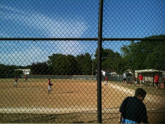 Oak Lawn Baseball