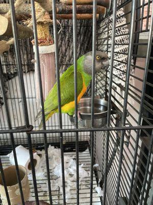 Tony's Motor Service