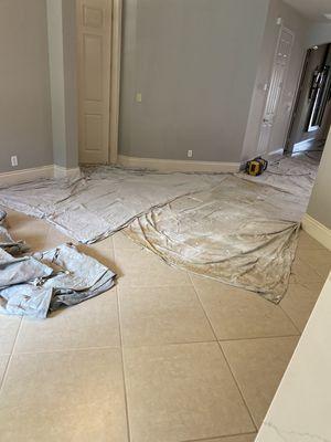 Swank Painting & Handy Man