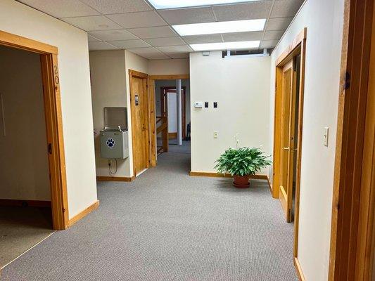 Bray Chiropractic & Wellness, LLC