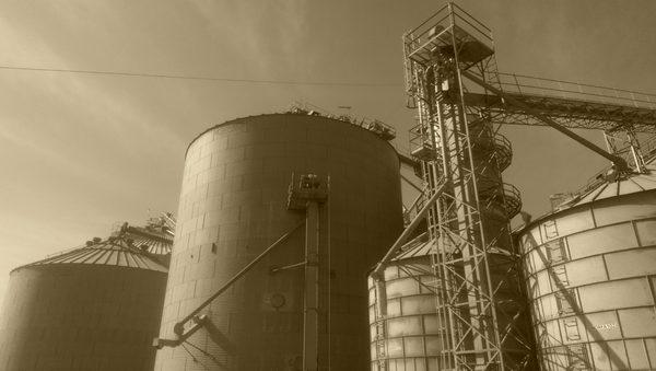 Crystal Springs Grain